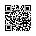 804113 PIN-DOWEL