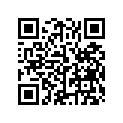 804332 LEVER