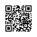 804536 O RING