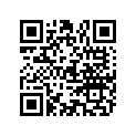 804834 PLUG