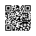 807218 GASKET