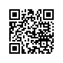 809565 O RING