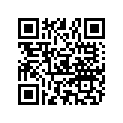 809963342 O RING