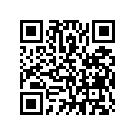 81161-MAM-A60ZD POCKET, L. *NH68*