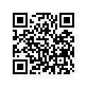 81173-MN5-300 RUBBER