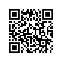 81175-MN5-300 RUBBER
