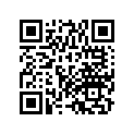 81382-MT8-010 RUBBER, L.