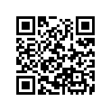 81387-MT8-010 RUBBER, L.