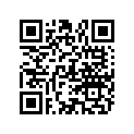 817428 SOCKET