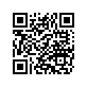 8194 NUT,SPECIAL