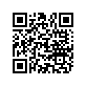 819577 NLA - 12-819577 - DECAL-PORT-150