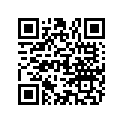 819594 NLA - 12-819594 - DECAL-PORT-120