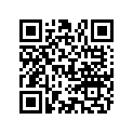 822481 SS BY - 12-822481001 - PIN-ANCHOR