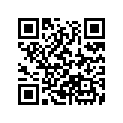 84253-MT3-000 RUBBER
