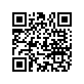 863176 PIN