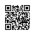 86749A1 SHIM SET