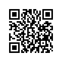 87132-ZW1-N00 MARK,SIDESTRIPE