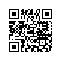 879150029 DIPSTICK