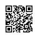 879194339 WASHER