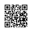 879288041 BUSHING
