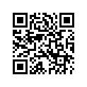 8853891 CARPET,SIDE,RH,TLH,RL