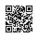 888-23735-00-00 PLATE,WEAR 1