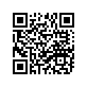 888-47495-02-00 STOPPER 1