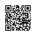 889847 BOOT