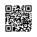891819A04 DECAL SET