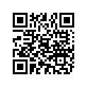 892952500 BOOT