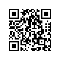 898067 SPACER