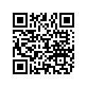 898101171 STOPPER