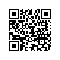 898101770 WASHER