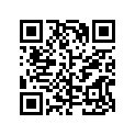 898272009 BRACKET
