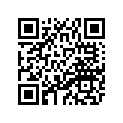 8CM-17675-00-00 PLATE 2