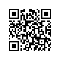 8DF-W0046-01-00 Колодки Тормозные (К-т 2 шт.)