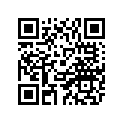 8DX-26240-00-00 Ручка Руля