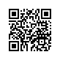 8GL-47384-00-00 Шайба