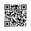 90013-430-000 BOLT(10X25)