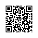 90112040000 MIRROR L/S