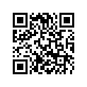 90112041000 MIRROR R/S