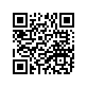 90171-12042-00 NUT, CASTLE