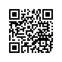 90171-14002-00 NUT, CASTLE