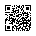90171-14031-00 NUT, CASTLE