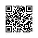 90201-25291-00 Шайба