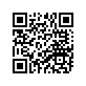 90202-06009-00 WASHER