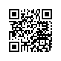 90209-21332-00 WASHER(3VD)
