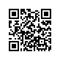 90304-ZW1-013 NUT(25X2.0)