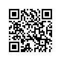 9035789 HOLEPLUG