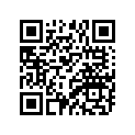 90380-10005-00 BUSH, SOLID